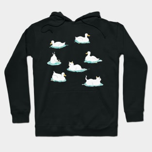 Ducks and Cats Hoodie